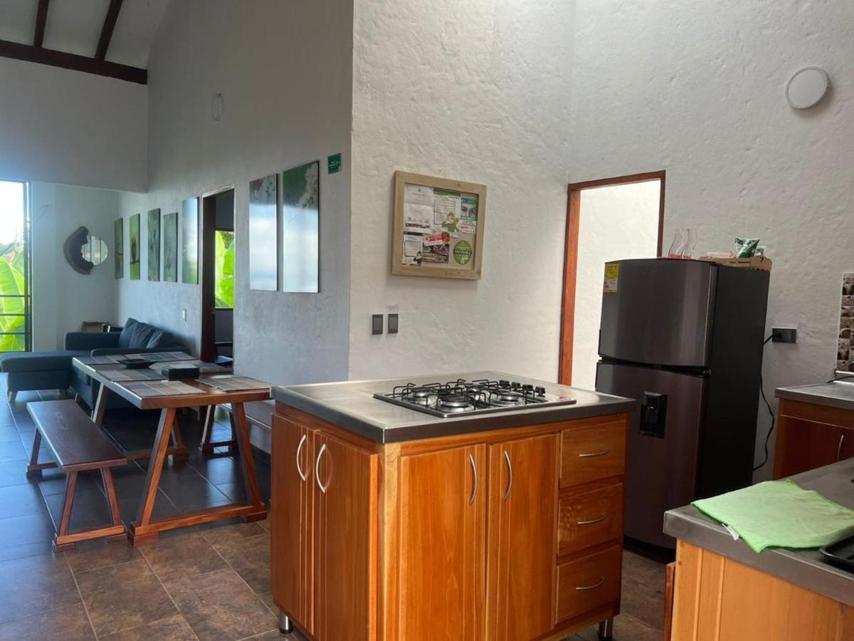 Orquideas 3 - Housity