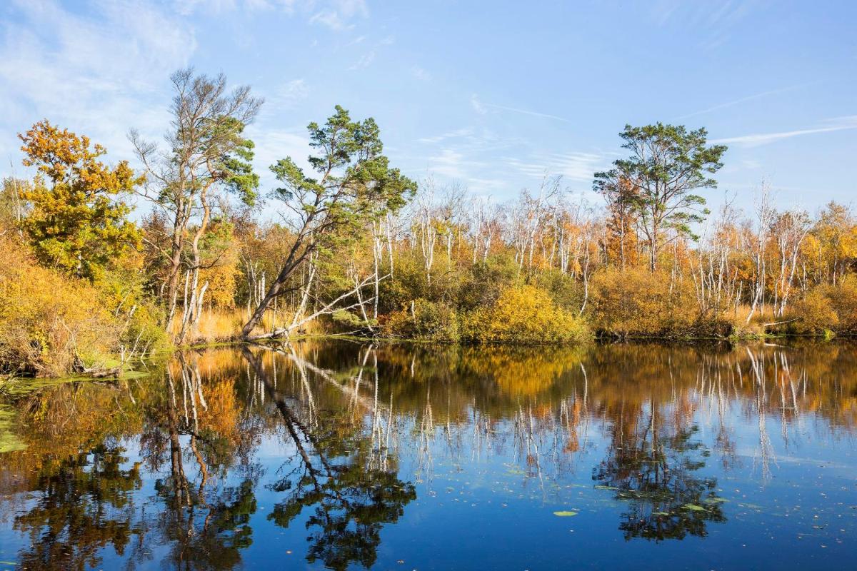 Naturlandschaft in der Nähe des Hotels