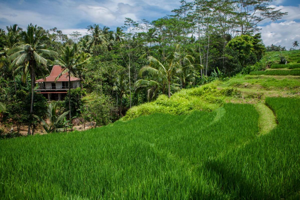 Be Bali Stay - Housity