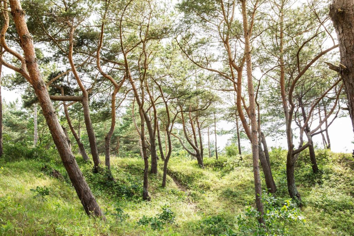 Naturlandschaft in der Nähe des Hotels