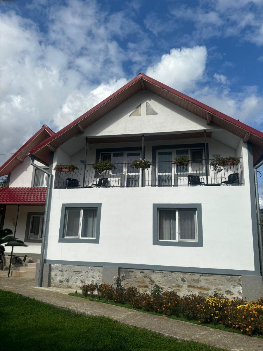 Floare de colt - Housity