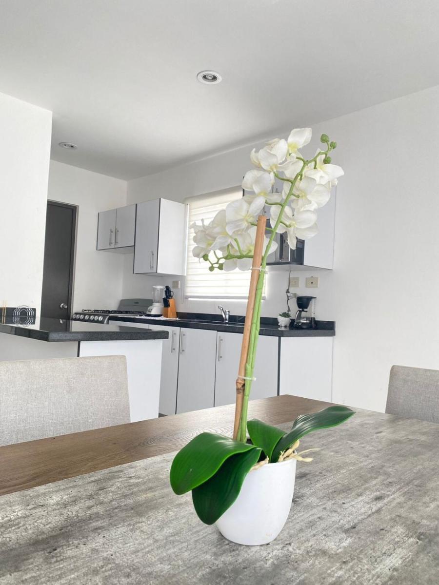 Alejandria Mazatlan Vacation Rental - Housity