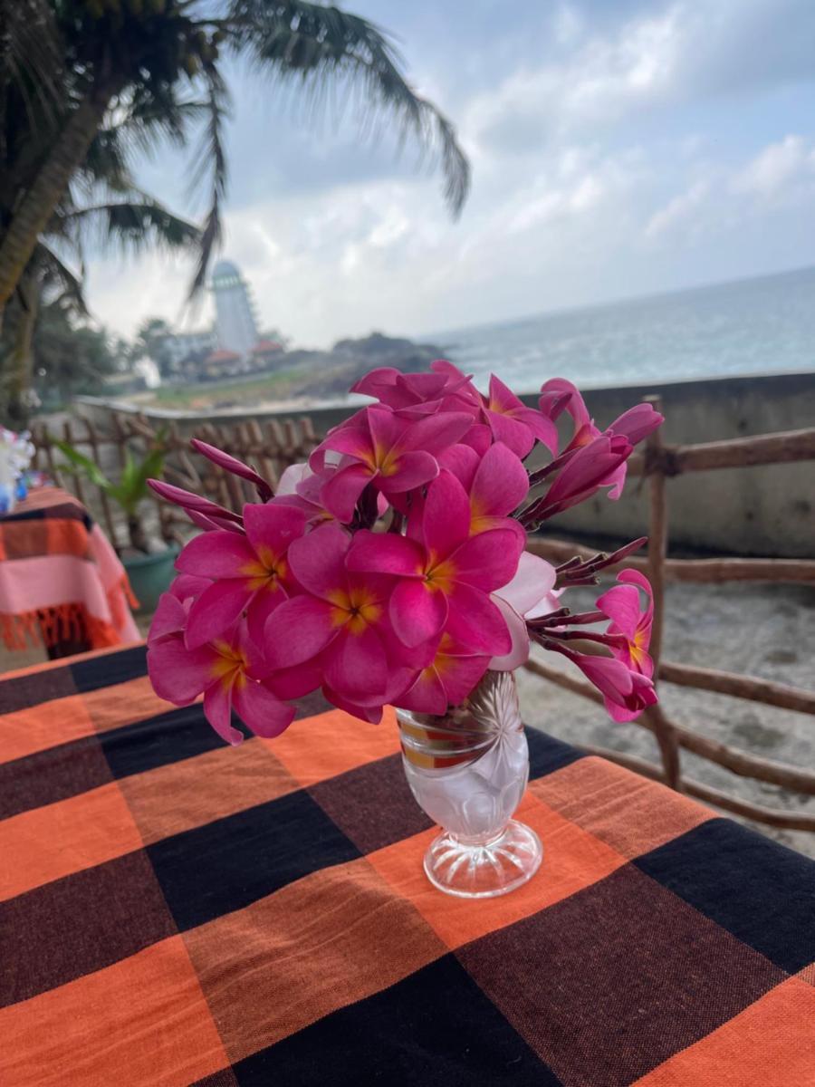 Blue Maalu Resort - Housity
