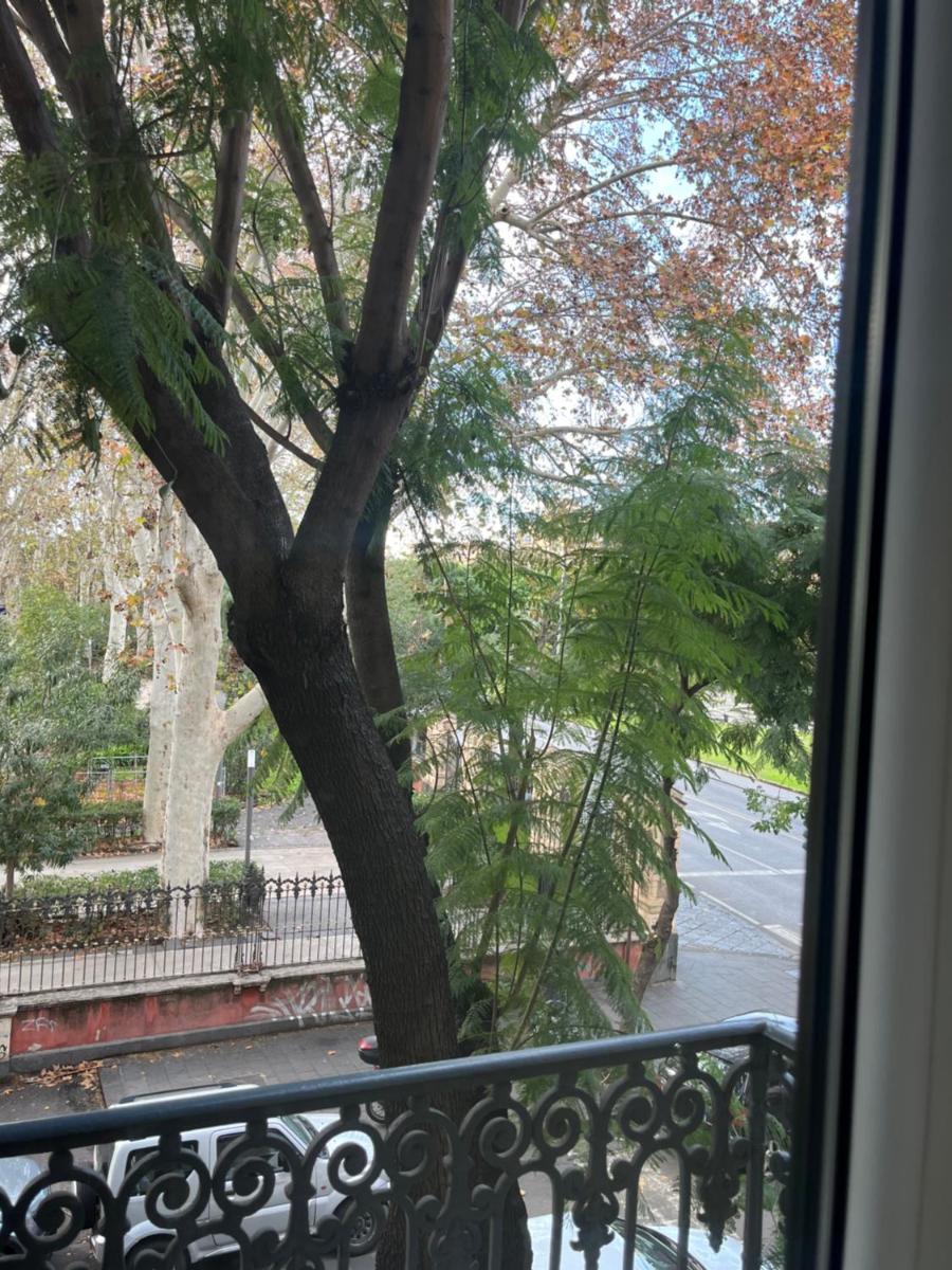 Bellini Palace luxury B&B and Apartments - Housity