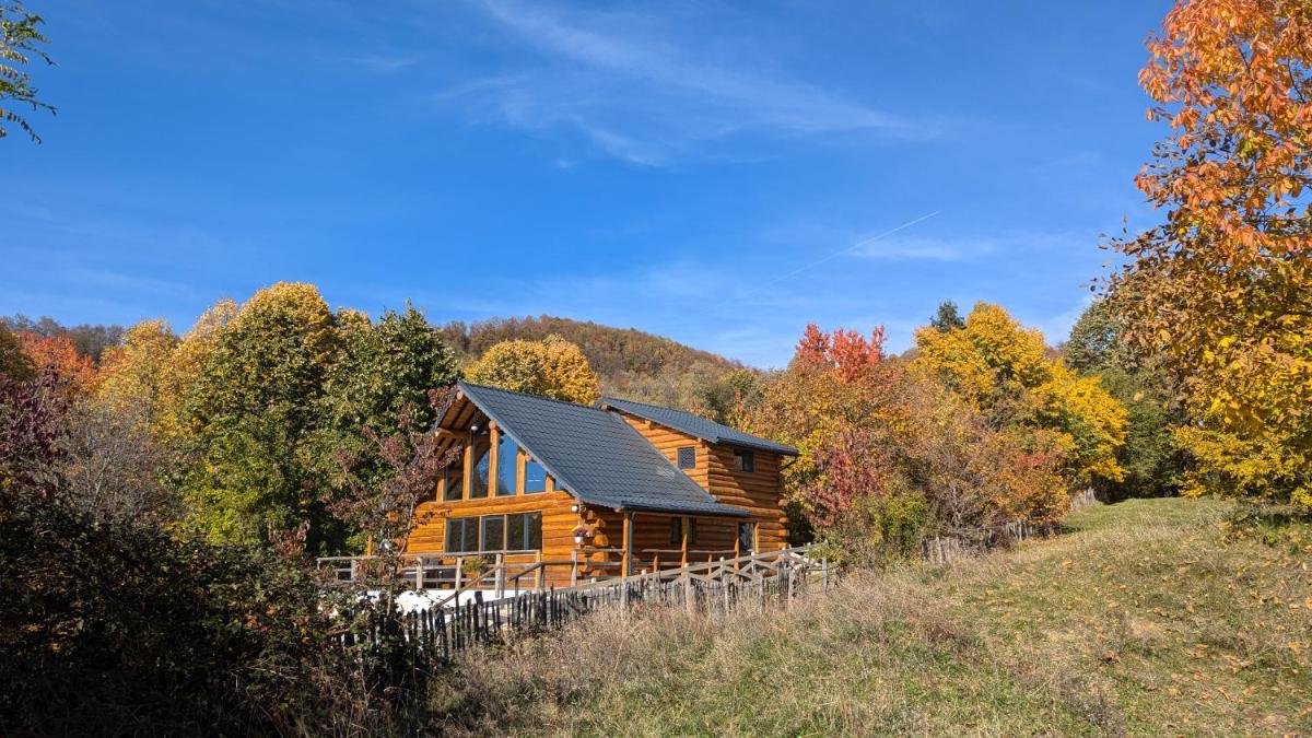 Chalet Ursa Mare - Housity