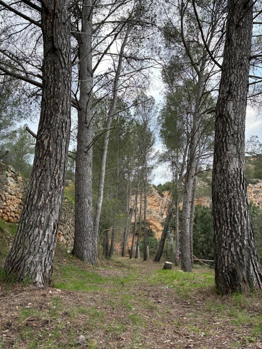 Paraiso Natural Unico -Villa Cueva Turche - Housity