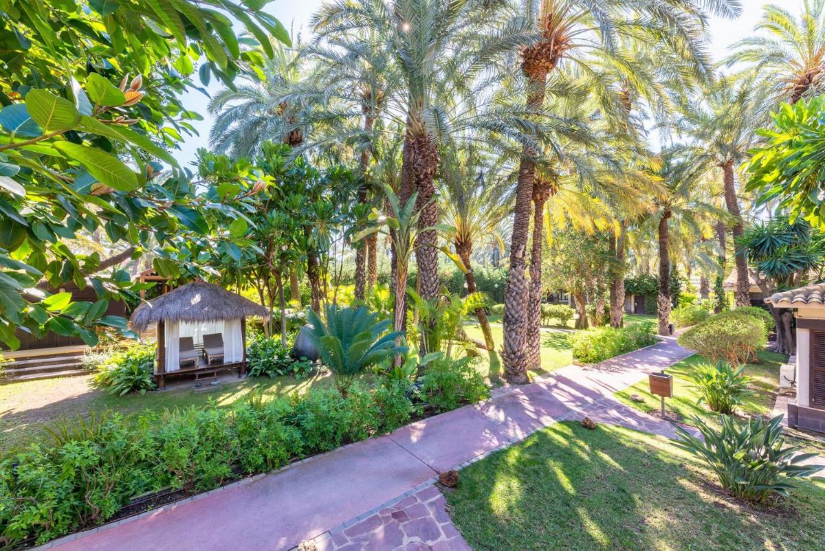 un jardín con palmeras y cenador en Hotel Huerto del Cura, en Elche