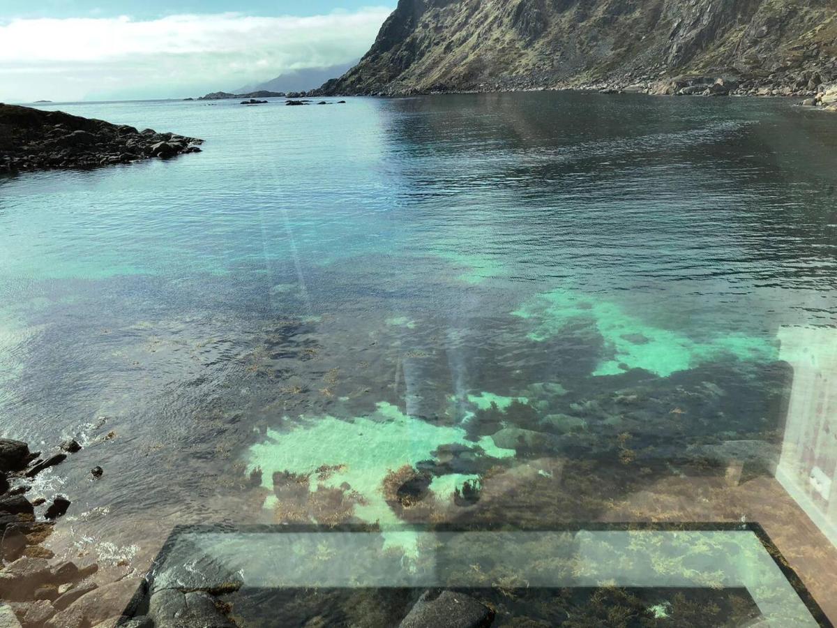 Fisherman`s Cabin Lofoten - Housity