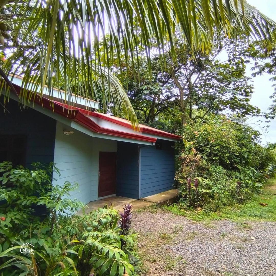 Hospedajes La Cabaña Lodge - Housity