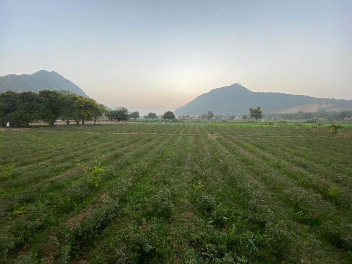 Hotel Divine Palace Pushkar - Housity