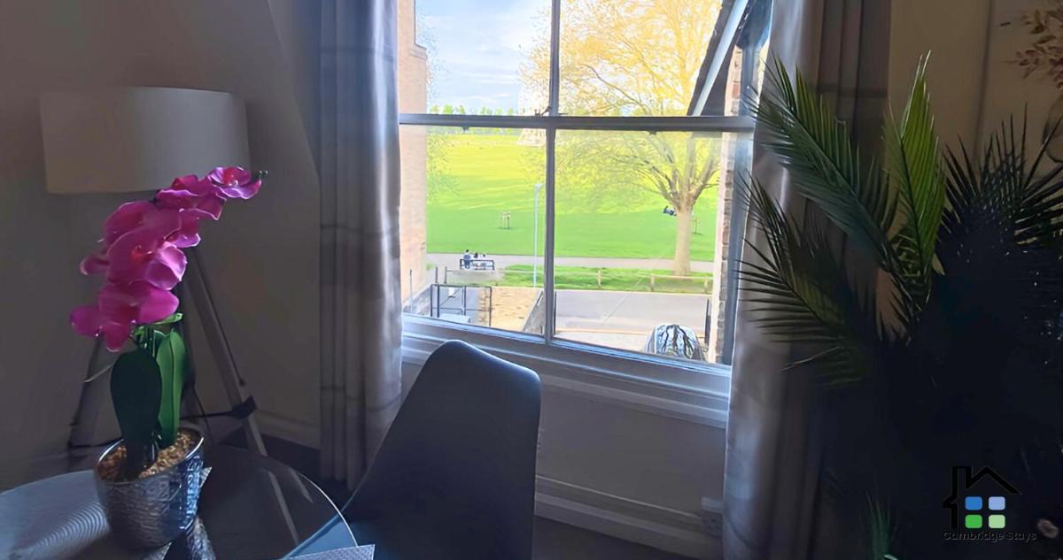 Cambridge Stays - 1BR Super Central Flats in Cambridge - Housity