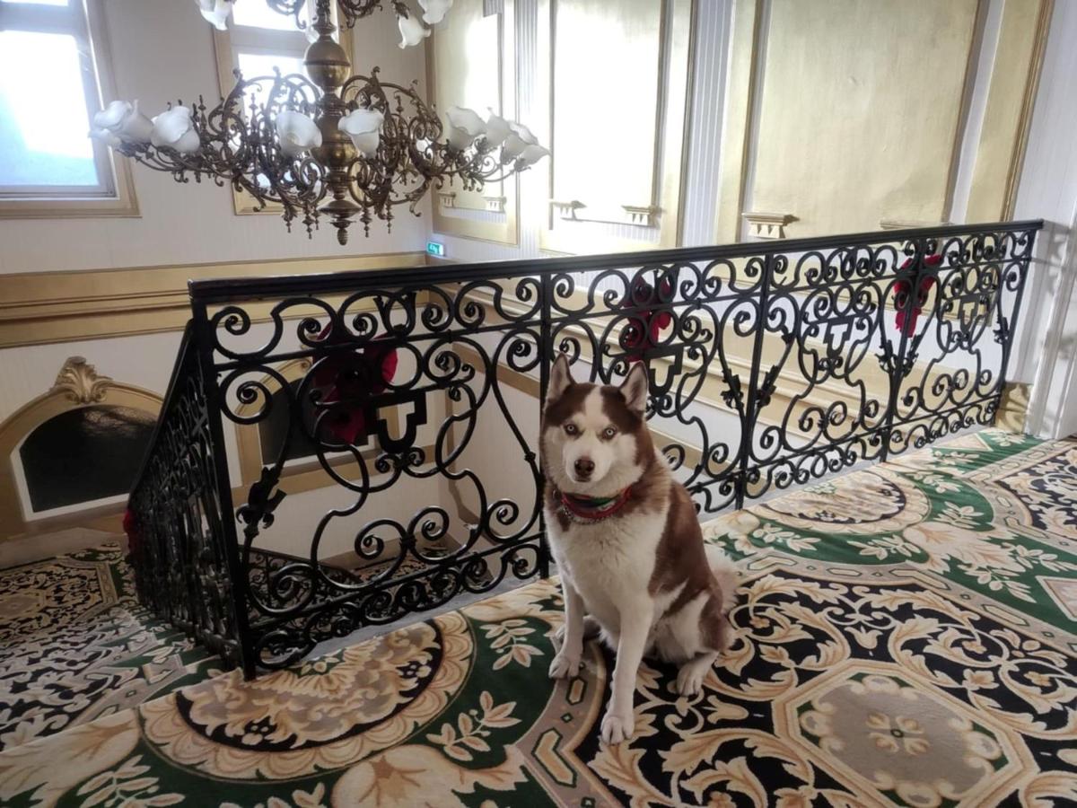 Korona Hotel - Housity