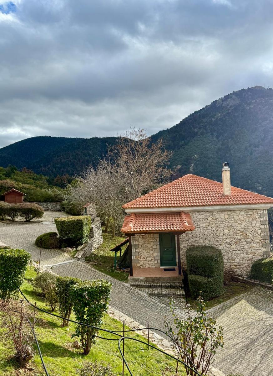 Villa Nano Kalavryta Βίλα στο βουνό με τζάκι κοντά στο χιονοδρομικό - Housity