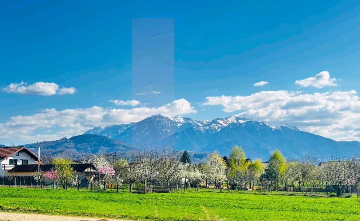 DAS Home-Vedere la Muntii Bucegi parcare gratuita - Hizvo
