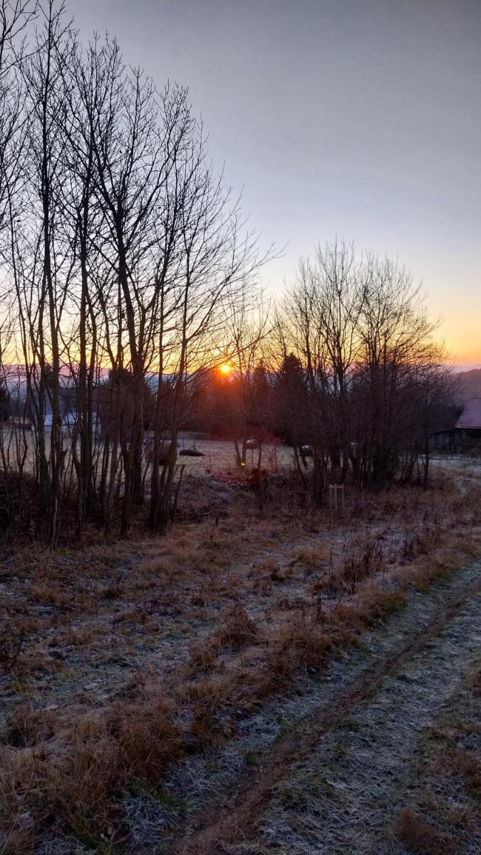 Gościniec Śliwkowy Sad - Housity