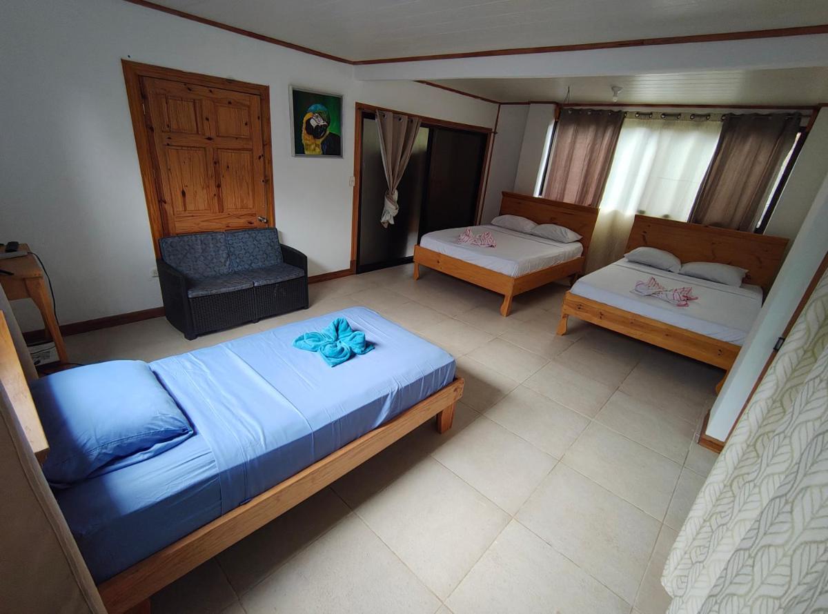 El Congo Lodge - Corcovado tour - Housity