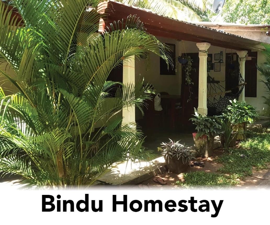 Bindu Homestay - Housity