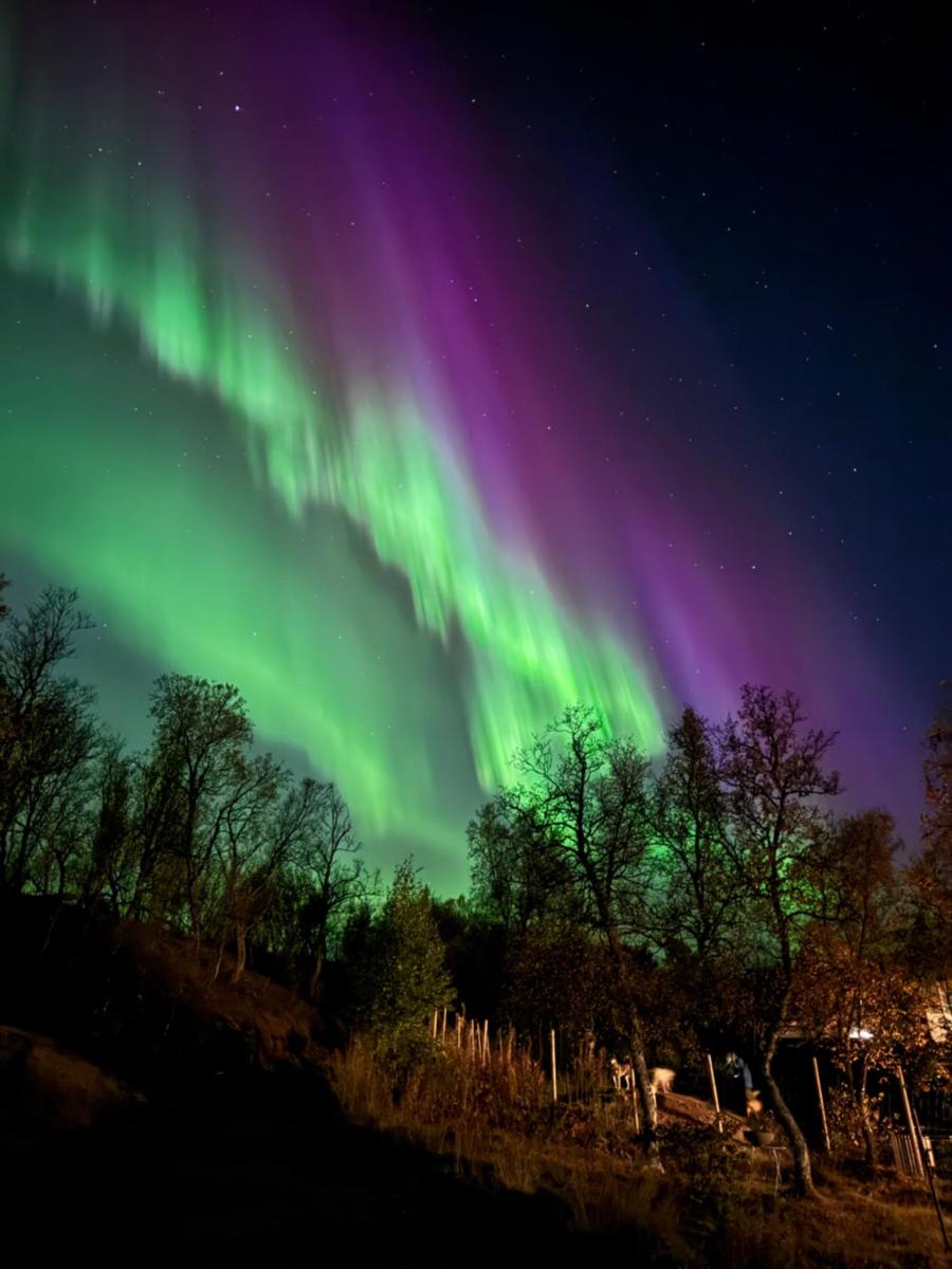 Håkøya Lodge - Housity
