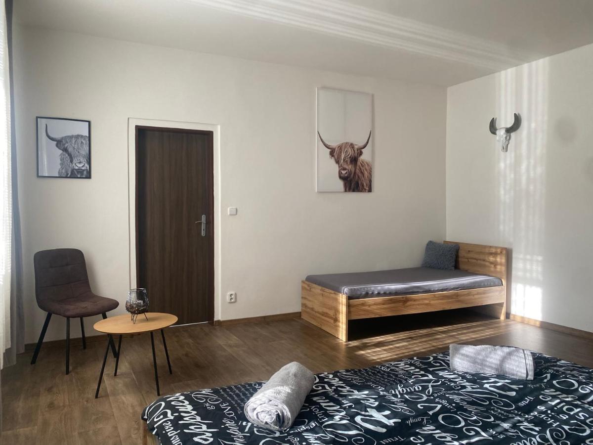 Černý Tulipán - Apartmán 3 - Housity