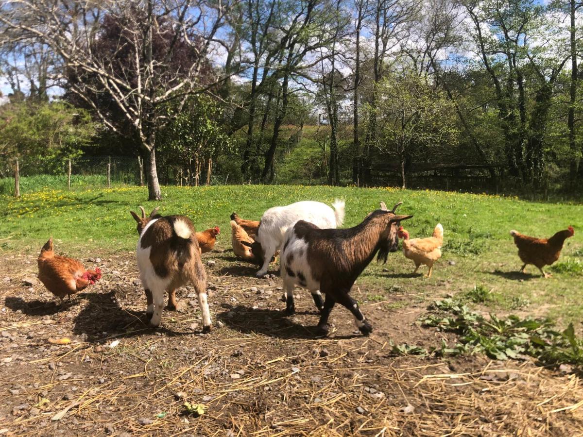 Gîte 10 personnes dans la Nature proche Océan Landes - Housity