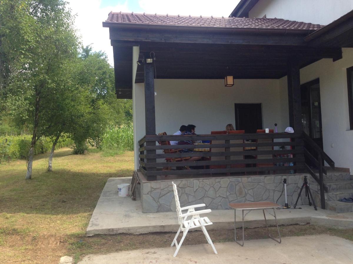 Pensiunea Zina - Housity