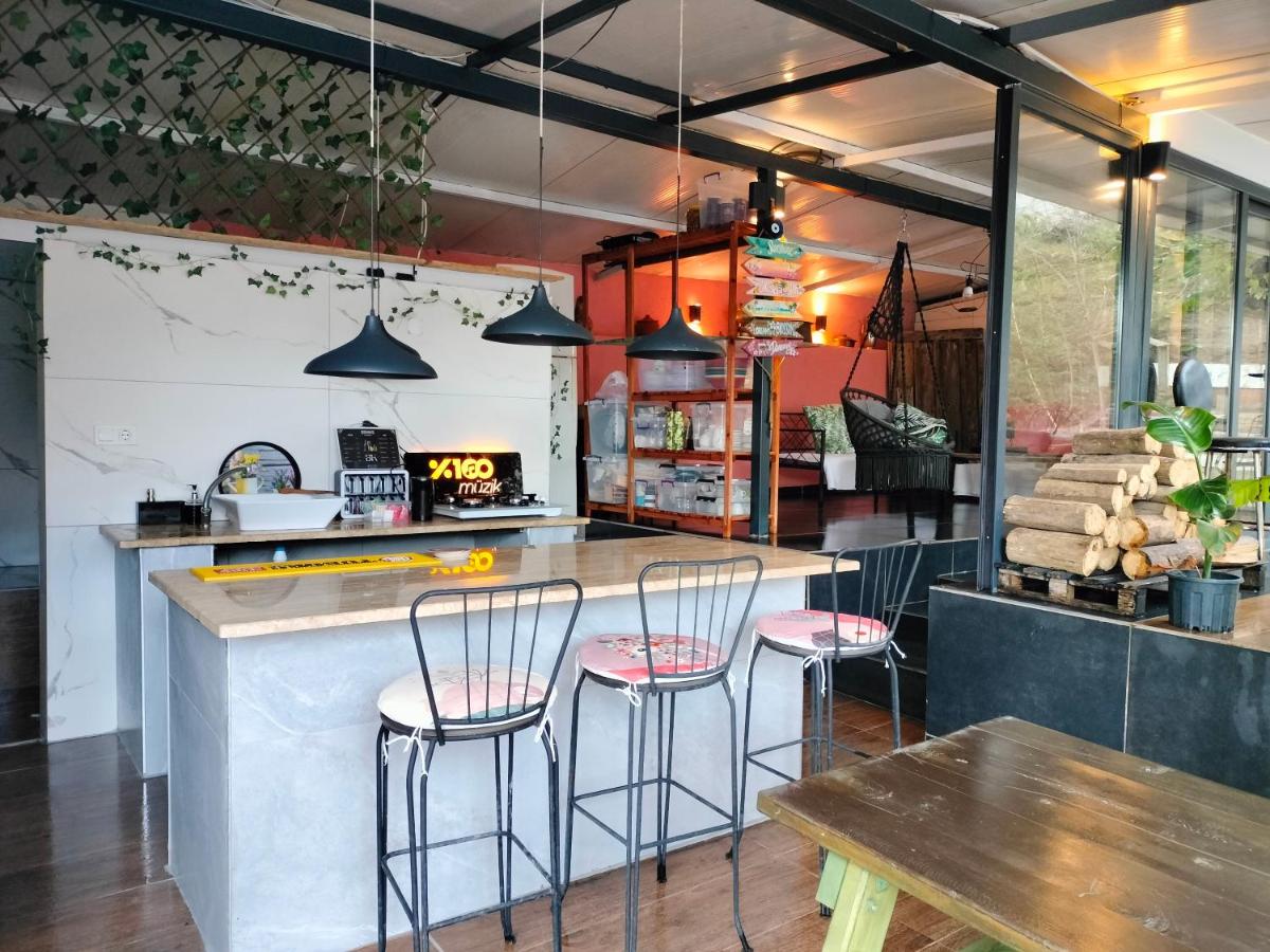 BayKus Guesthouse-Konukevi - Housity