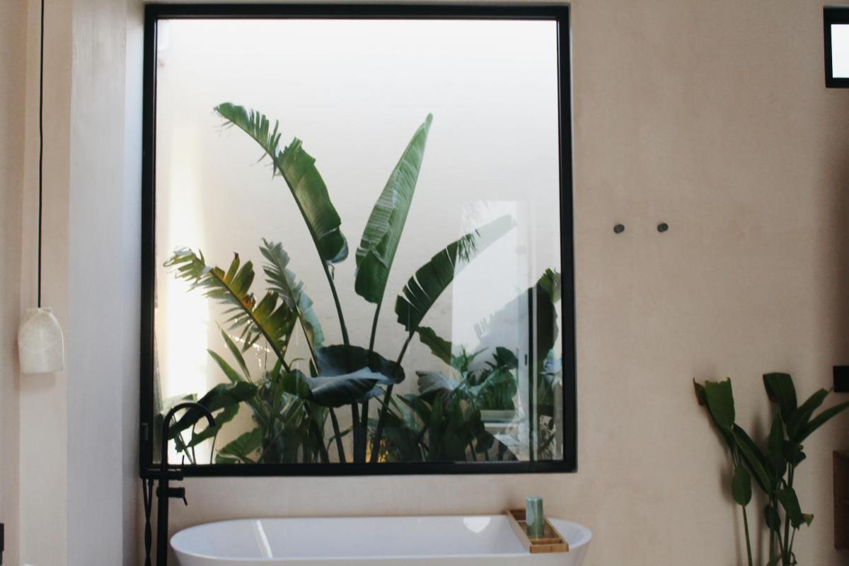 Amaroo Palms - Housity