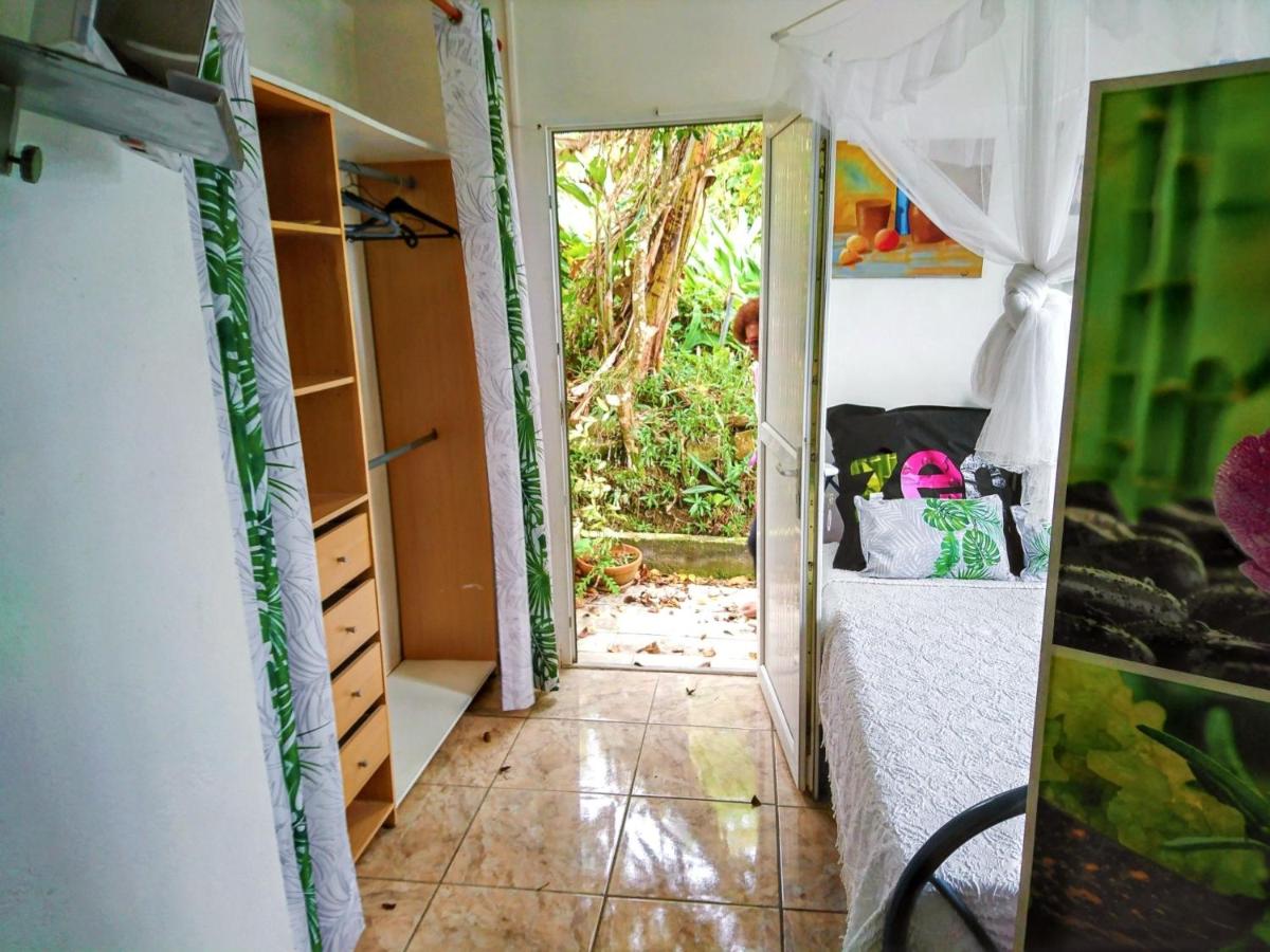 Studio charmant à Fort-de-France avec vue sur jardin - 38 m² - Housity