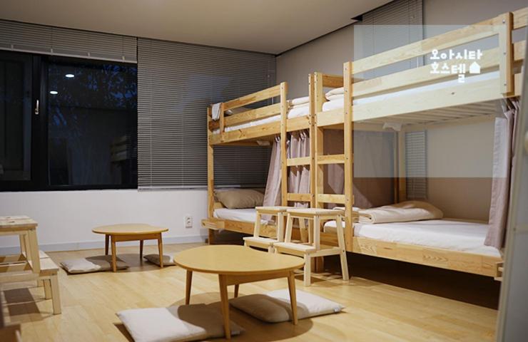 Oasita Hostel - Housity
