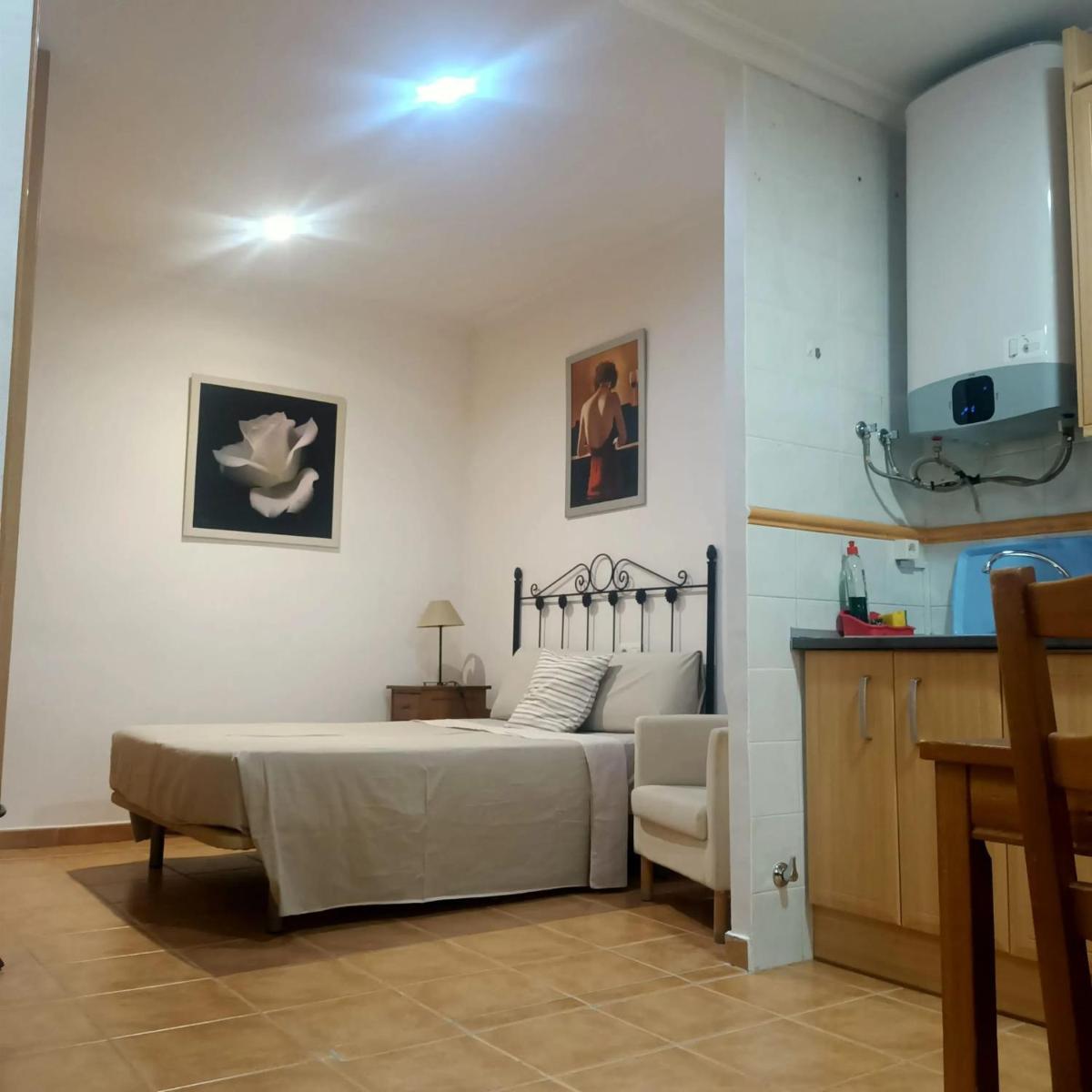 Modern Studio in Toledo - 45 m² - 4 guests - Housity