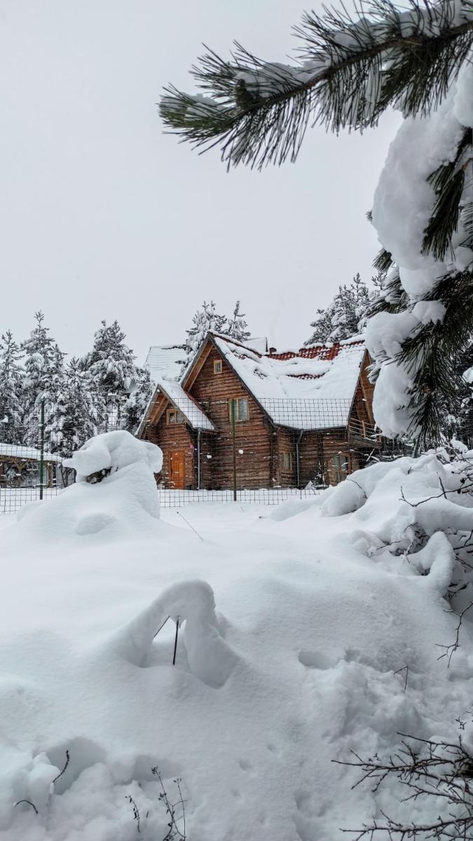 Lambievi Kolibi - Housity