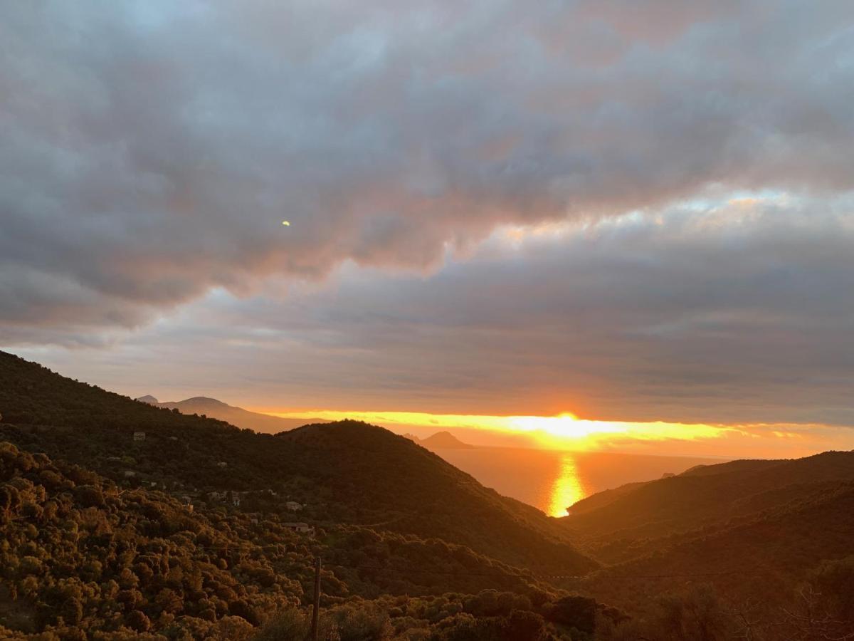 Les Asphodèles - Housity