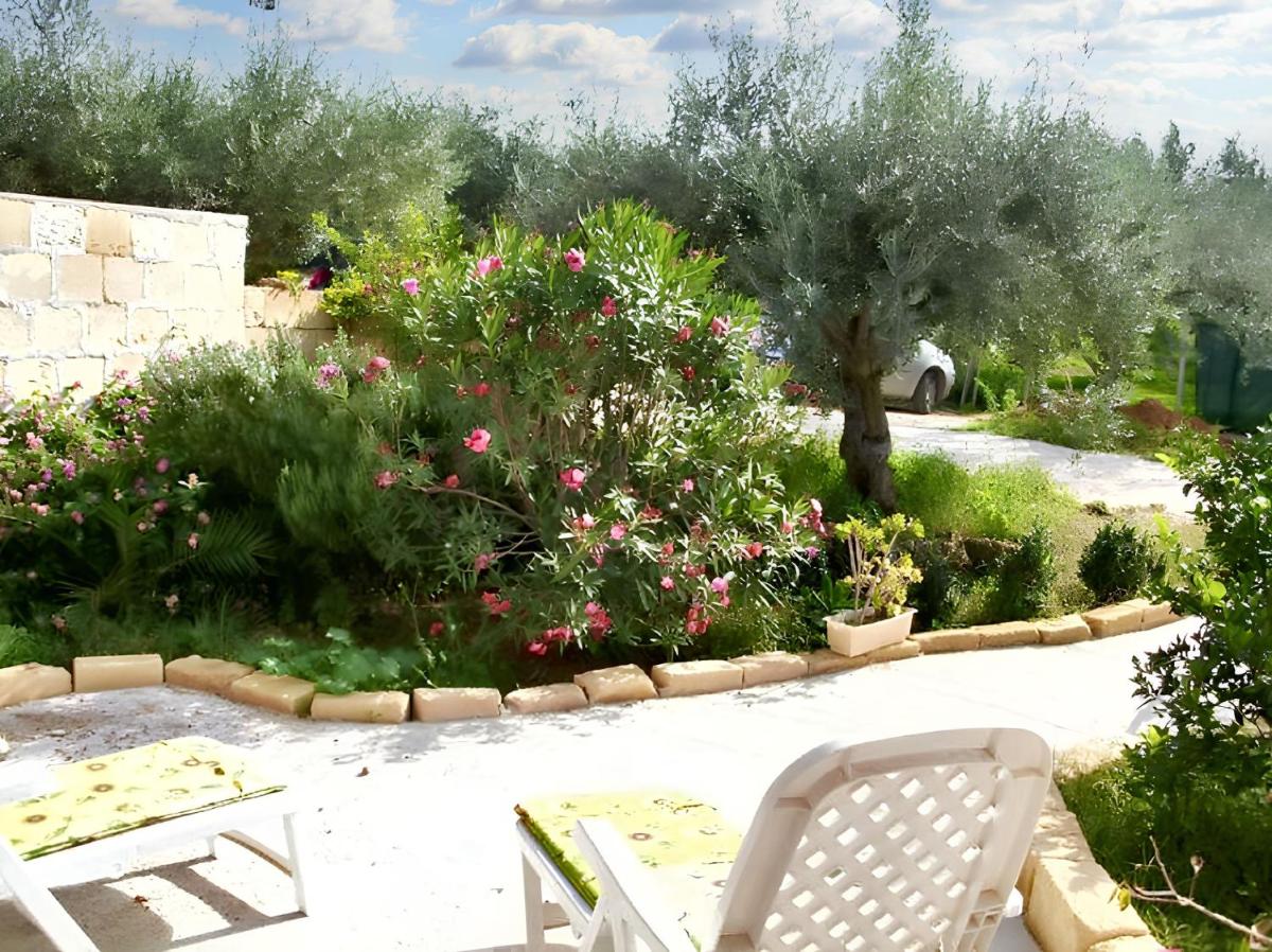 Charming house in Balestrate with mountain view. - Housity