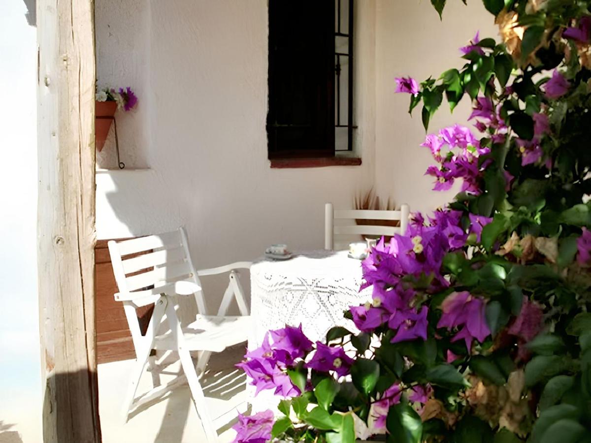 Charming house in Balestrate with mountain view. - Housity