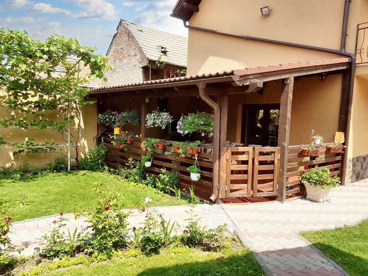 Charming House in Săcele with Garden View + BBQ - Housity