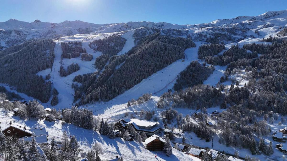 Résidence Les Cerisiers - Grand appartement 4 chambres 4 salles de bains idéalement situé sur les pistes MAE-3204 - Housity