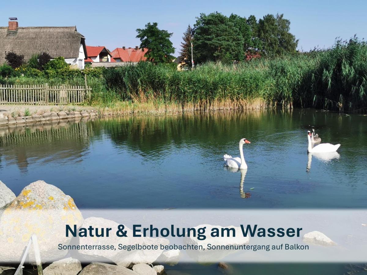 Ziemitz, Paradies am Peenestrom - Housity