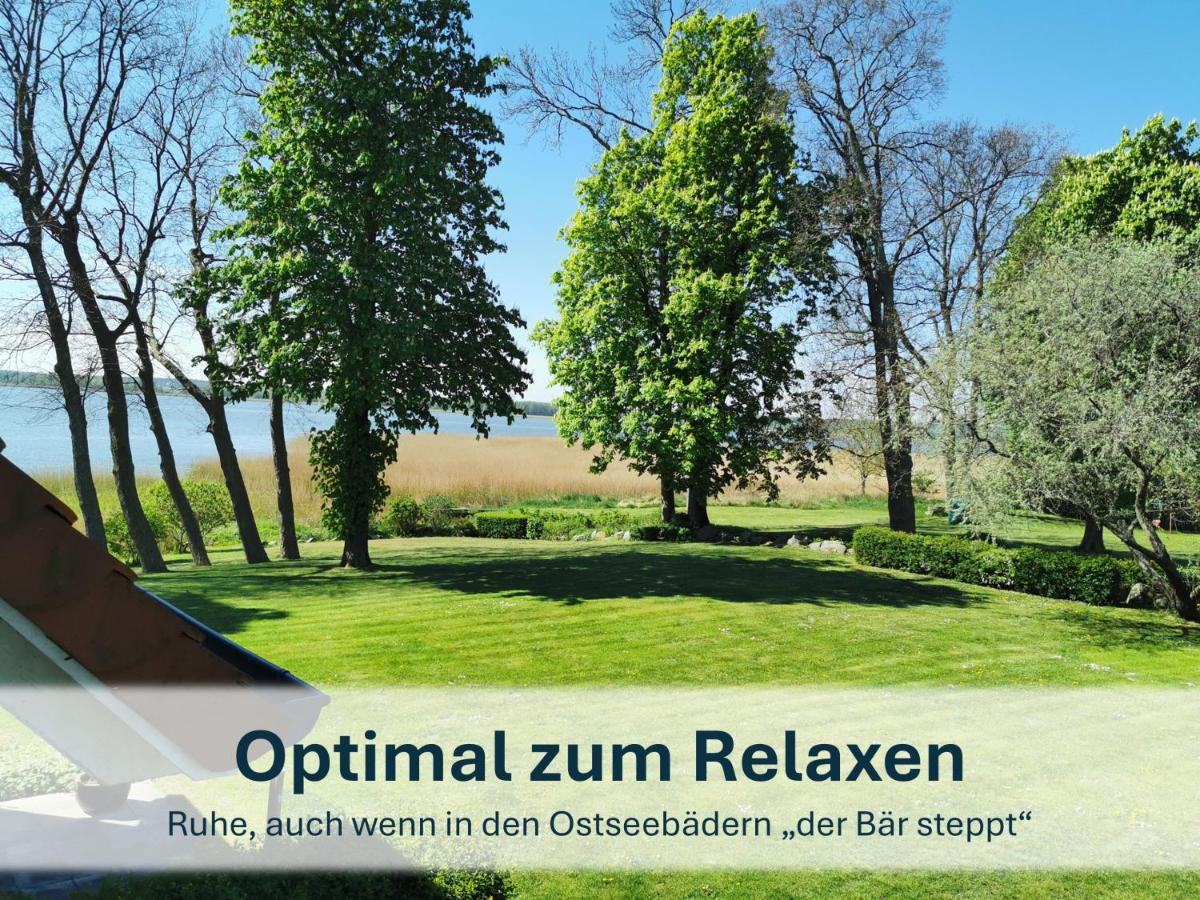 Ziemitz, Paradies am Peenestrom - Housity