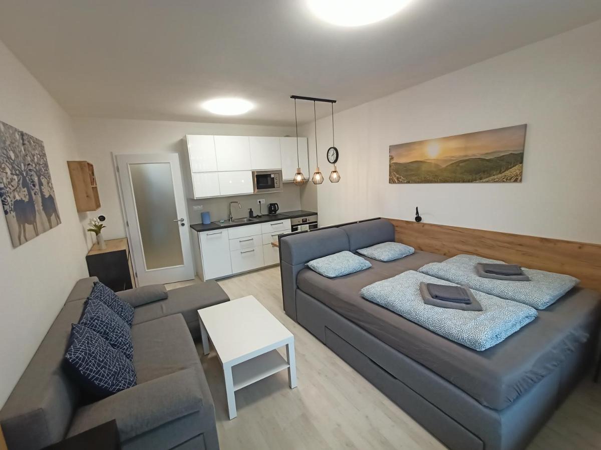 Apartmán LUMI Zadov - Housity