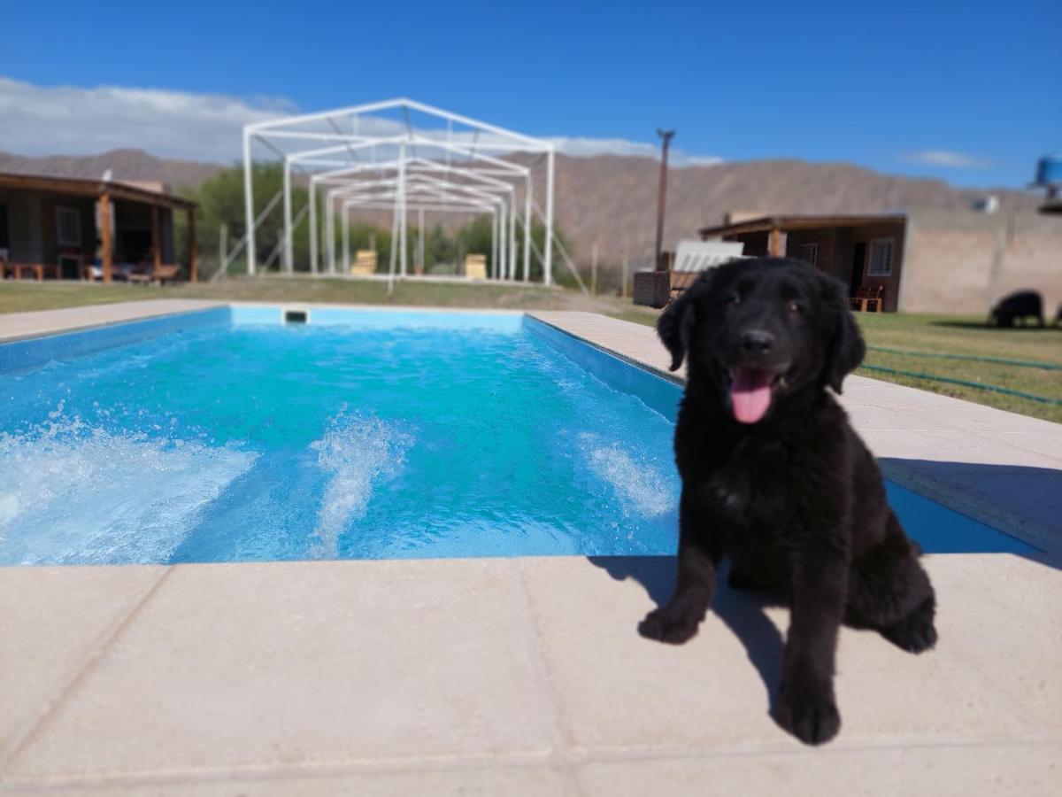 Cabañas Abril - Housity