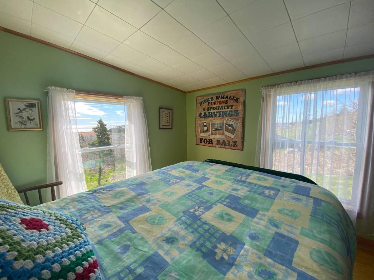 Seaside Serenity Ferryland Green, Steps To Ocean - Housity