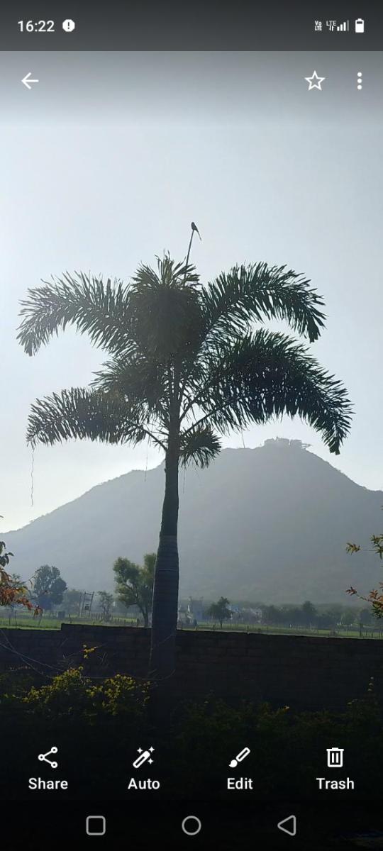 Hotel Divine Palace Pushkar - Housity