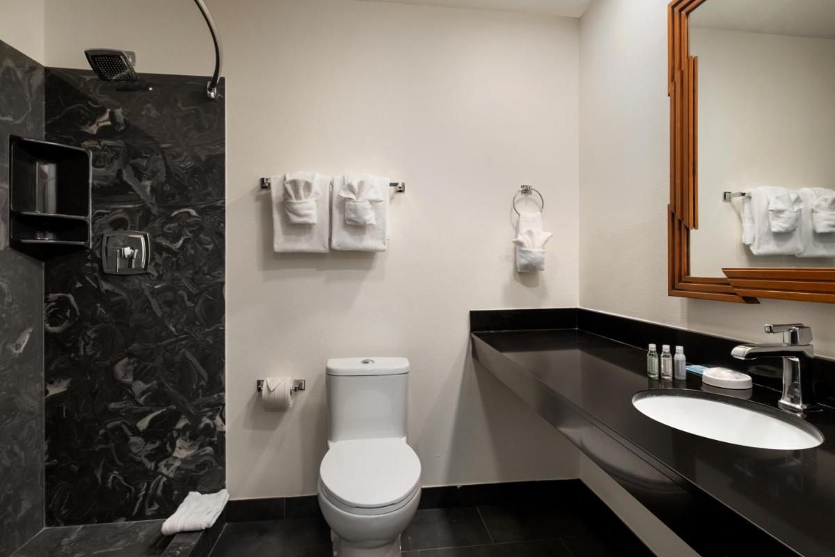 Le Richelieu Hotel in the French Quarter - Housity