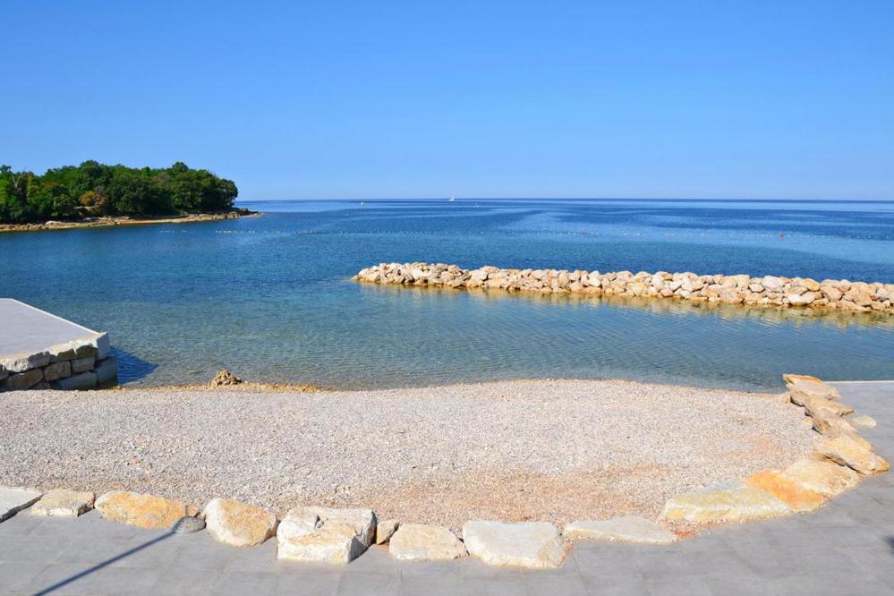Apartman Viola Mareda - Housity