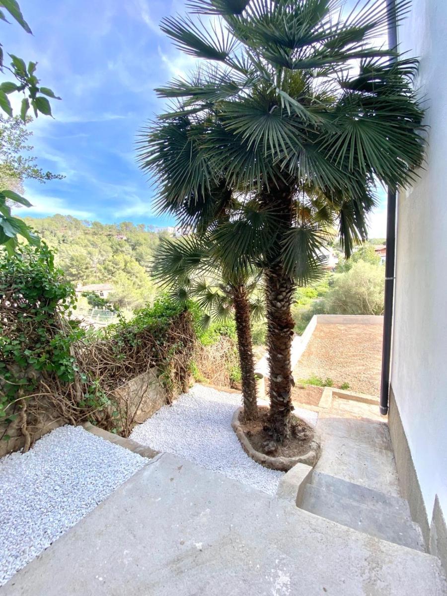 Pandi's Place - Housity