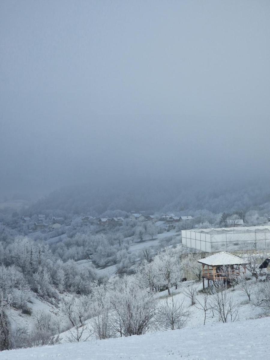 Holiday home Hižica v plavem trnacu - Housity