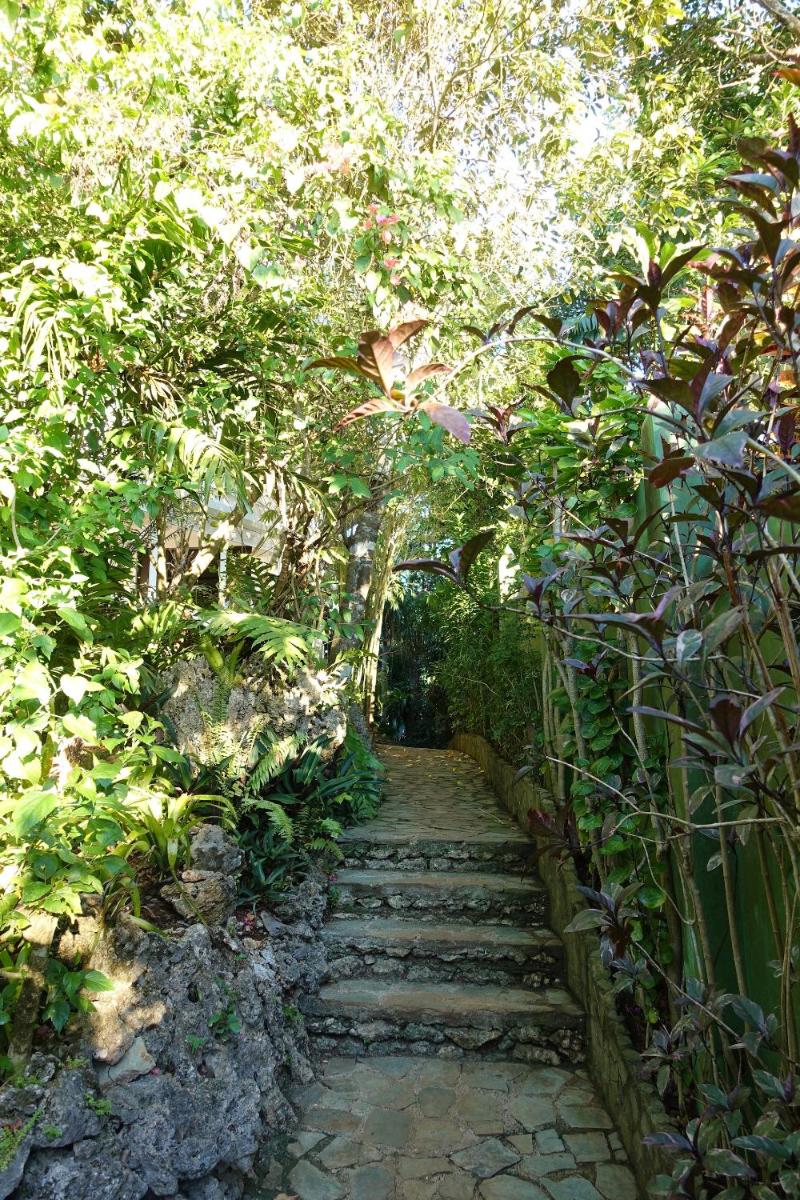 Argonauta Boracay Apartment Suites and Villas - Housity