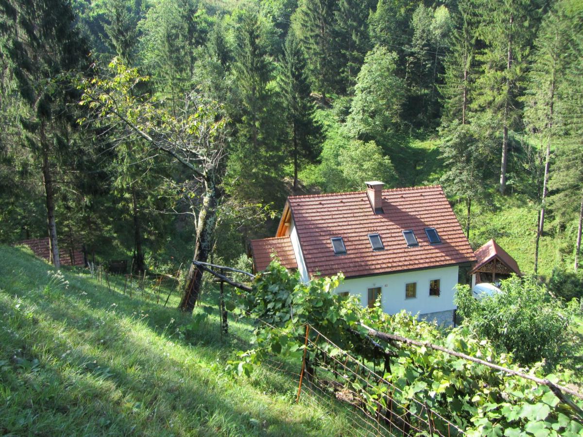 House Dolenja Trebuša - Housity