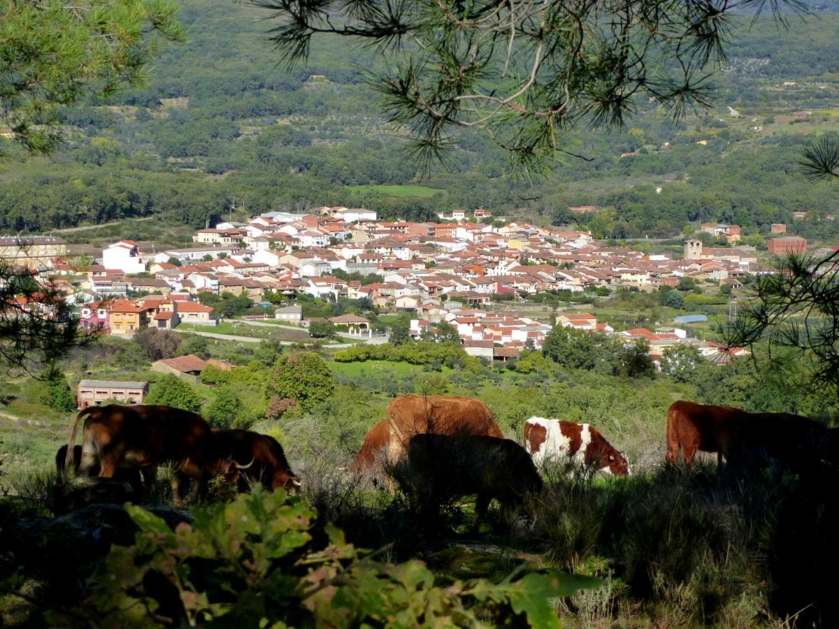 Apartamentos Rurales Entre Fuentes - Housity
