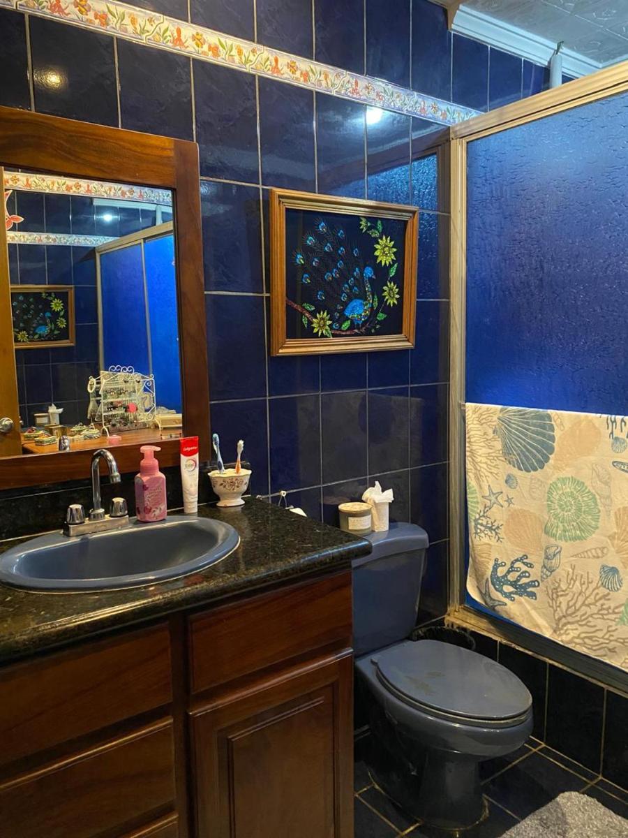 Alexander b&amp;b - Housity